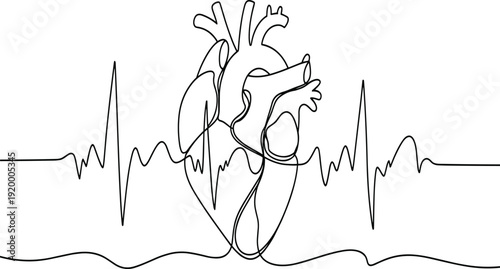 Continuous one line drawing of human anatomical heart with heartbeat monitor pulse, medical health care concept, minimalist vector illustration, isolated.