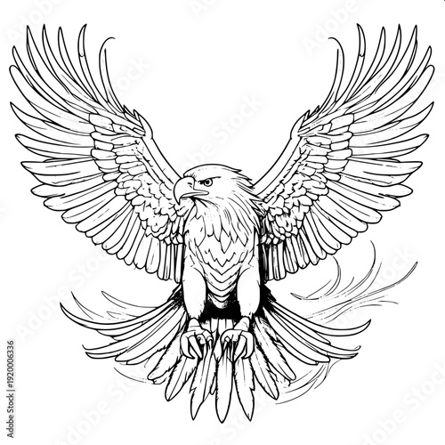 Detailed bald eagle sketch style vector, open wings, sharp beak and talons, coloring book style