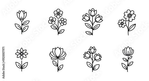 Collection of delicate floral line drawings in a minimalist style