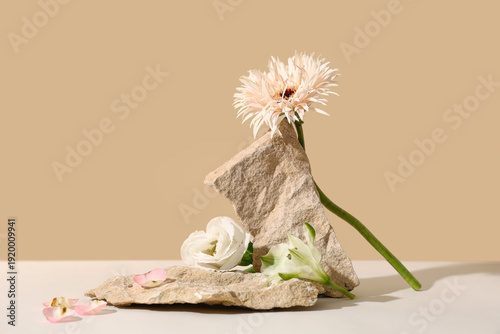 Decorative stones with beau...