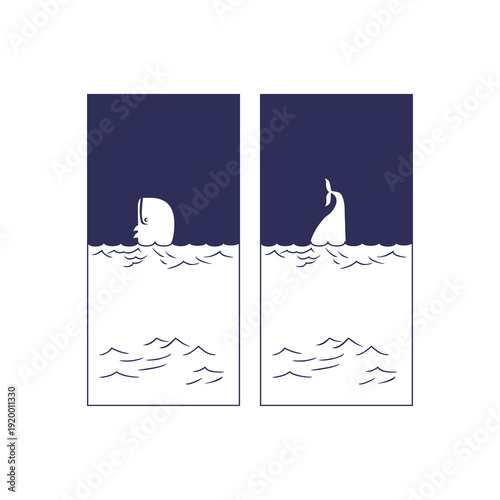 silhouette of a dolphin in the sea