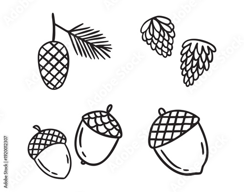 Cozy autumn doodle cones and acorns elements, line art monochrome hand drawn outline