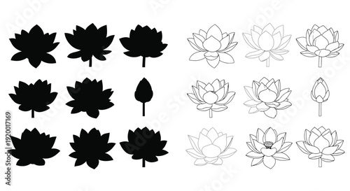 Lotus flower collection with contrasting black and white designs silhouette