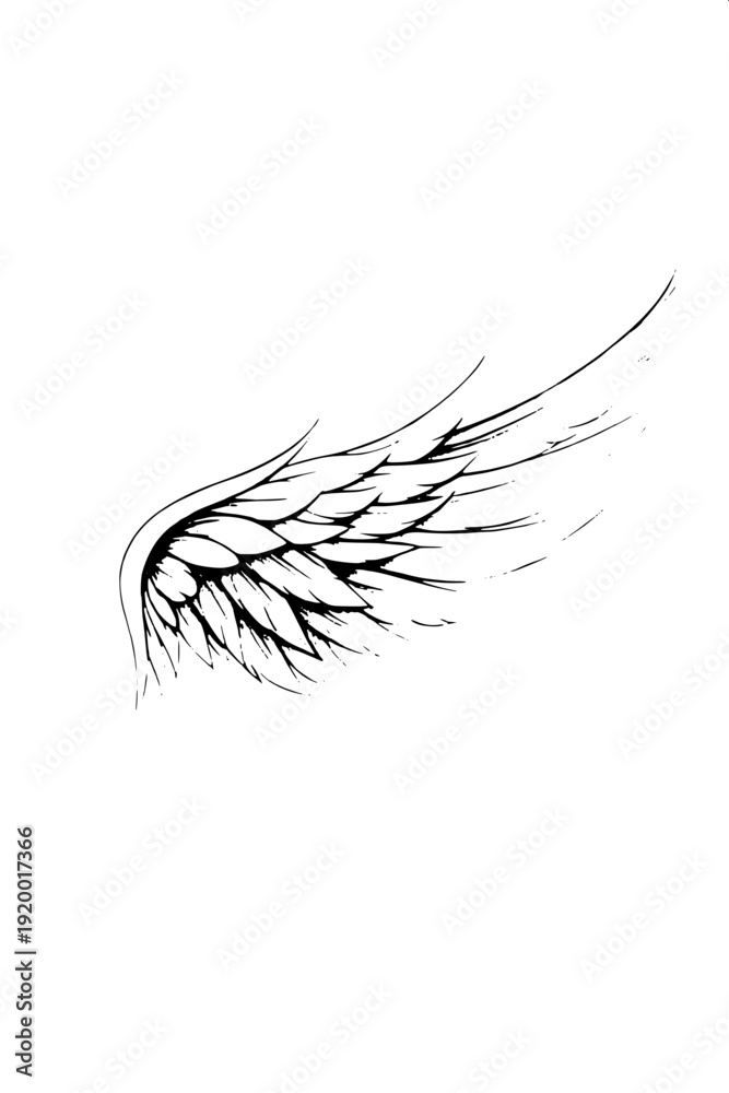 Fototapeta premium Professional tattoo style eagle line art, open wings, sharp feather texture, white background