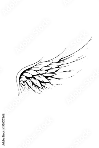 Professional tattoo style eagle line art, open wings, sharp feather texture, white background