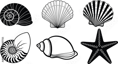 Set of black and white seashell silhouettes with starfish and nautilus shells for marine design cad drawing flat vector illustration