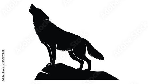 Black silhouette of a wolf howling at the moon on a rocky outcrop isolated on white background, Vector