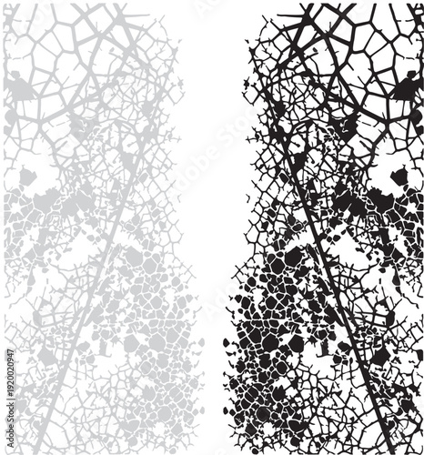 Intricate skeletal patterns of dried leaves in contrasting light and dark tones