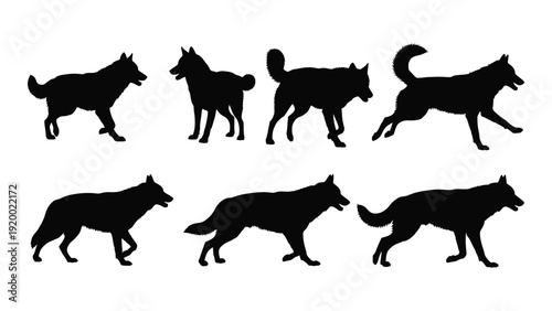 Silhouettes of various dog breeds showcasing different postures and movements. isolated on white background, Vector