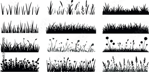 Garden border grass and wildflower silhouettes