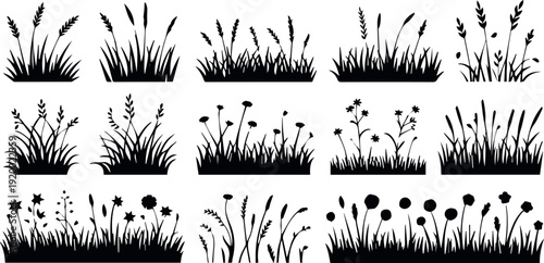 Wildflower meadow edge silhouettes