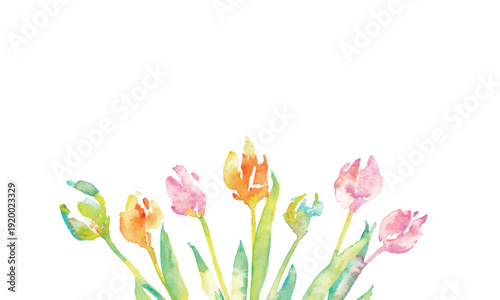 水彩画。水彩タッチのチューリップ背景。チューリップの春背景ベクターイラスト。Watercolor painting. Watercolor tulip background. Spring background vector illustration of tulips.