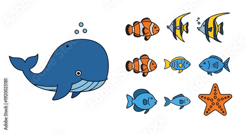 Cute Cartoon Whale and Tropical Fish Collection