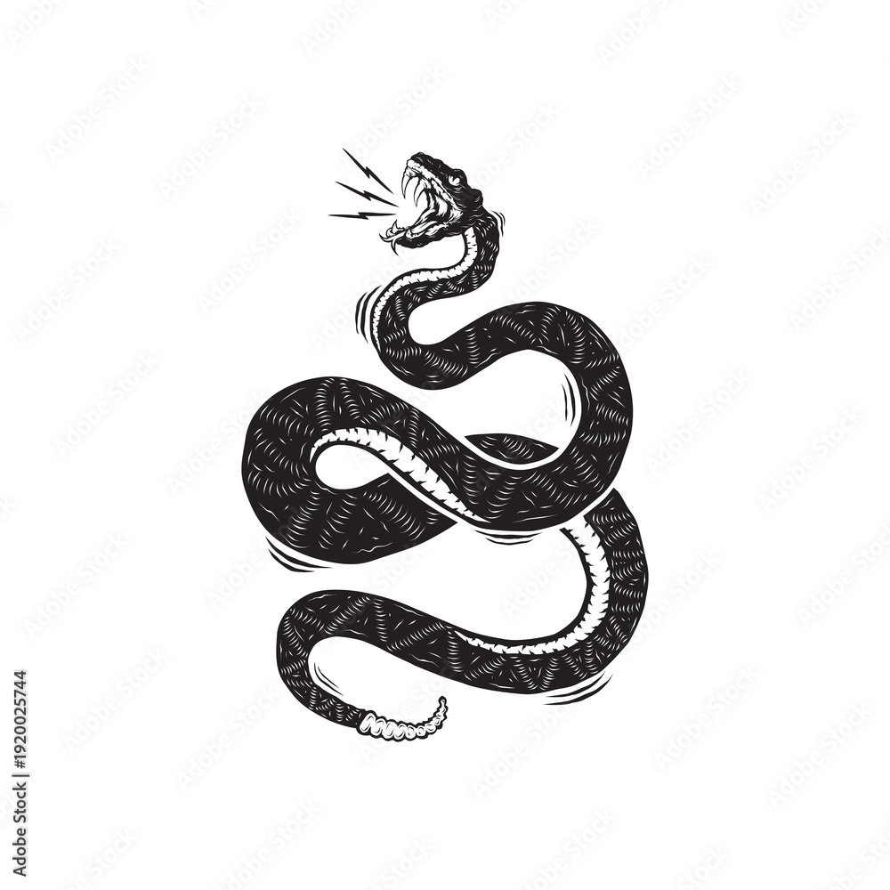 Fototapeta premium black and white snake on white background