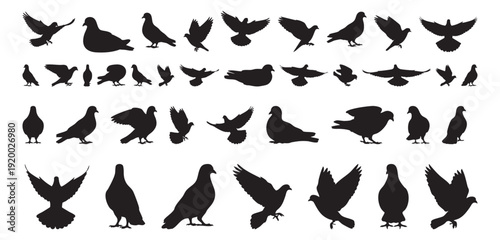 Seamless textile pattern of pigeon silhouettes, repeat tiles feature varied poses, bold contrast and balanced spacing ideal for fabric, wallpaper, and surface print, adaptable color palettes.