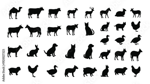 A collection of black silhouettes of various animals in different poses and positions isolated on white background, Vector