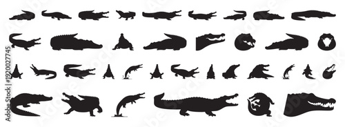 sequential crocodile silhouettes showing dynamic motion series captures stalking, lunging, rolling, and snapping actions for animation references, sports logos, game assets, and storyboard use stark