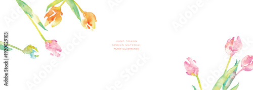水彩画。水彩タッチのチューリップ背景。チューリップの春背景ベクターイラスト。Watercolor painting. Watercolor tulip background. Spring background vector illustration of tulips.