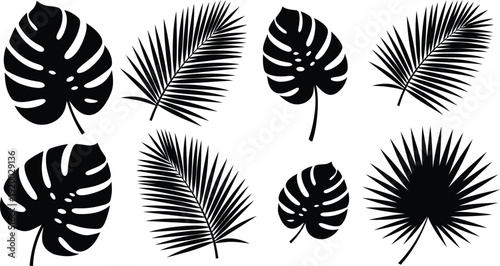 Collection of tropical leaves silhouettes on white background