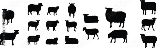 Sheep silhouette collection with standing, walking and lying farm animals, livestock vector set isolated on white background