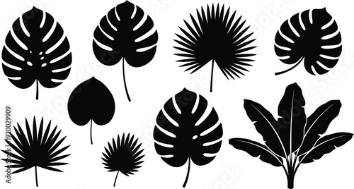 Collection of various tropical leaves in black silhouette on white background
