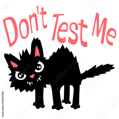 Bold warning quote for anyone done with nonsense. "Don't Test Me" captures sass, attitude, and humor perfectly for shirts, mugs, and gifts.