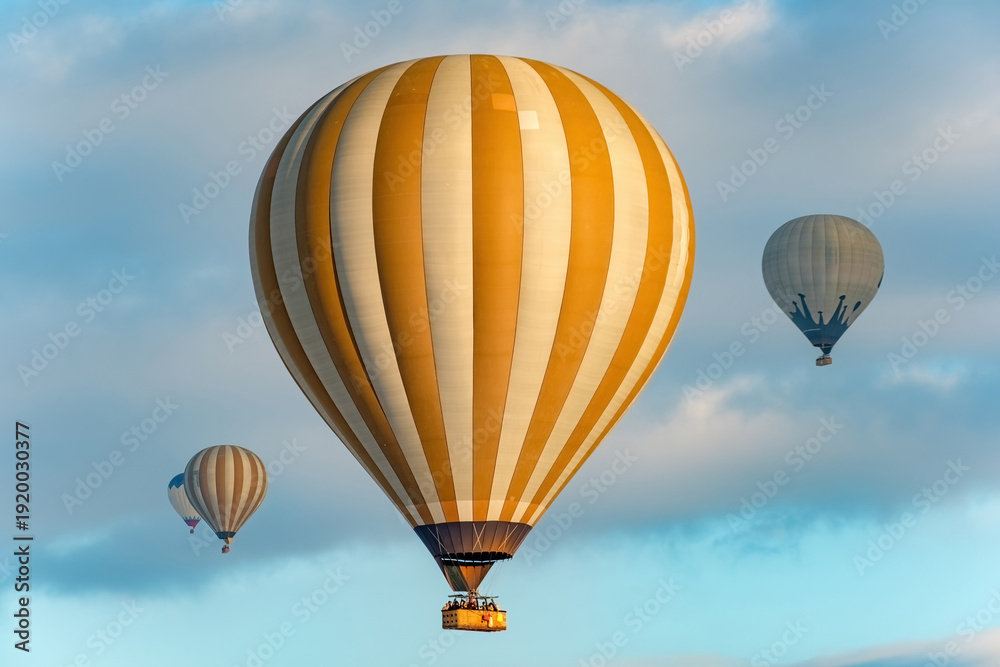 Obraz premium Colorful hot air balloons flying above Nevsehir Cappadocia fairy chimneys