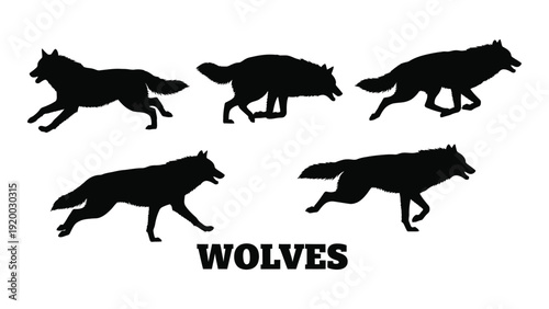 Five wolves running through a snowy landscape, depicted in black silhouettes isolated on white background, Vector