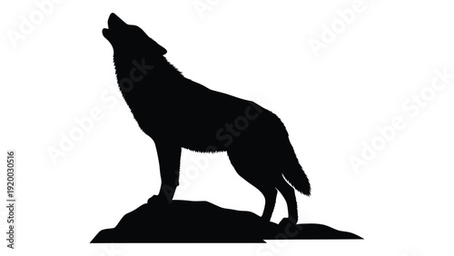 A silhouette of a wolf howling at the moon on a rocky outcrop. isolated on white background, Vector