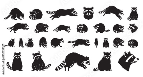 Raccoon logo designs. Stylish raccoon illustrations for branding. Minimalist raccoon images ideal for icons and logos. Simple and bold raccoon outlines perfect for branding and badges