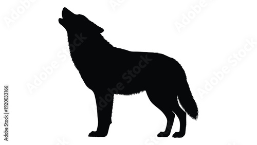 A majestic black silhouette of a howling wolf against a white background isolated on white background, Vector