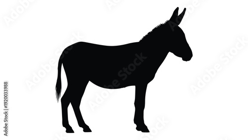 A black silhouette of a donkey standing on all fours. isolated on white background, Vector