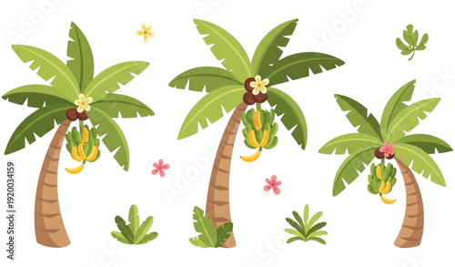 Cute cartoon banana palm tree vector set with tropical leaves and fruit isolated on white background for summer vacation design