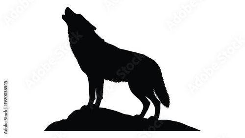 A majestic black silhouette of a wolf howling at the moon on a rocky outcrop isolated on white background, Vector