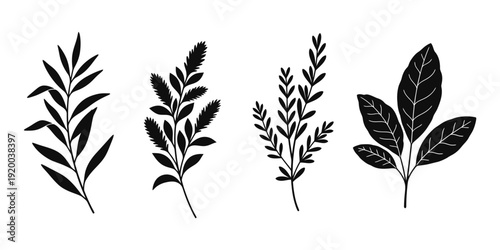 Collection of four different leafy plant silhouettes