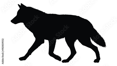 A silhouette of a wolf walking, showcasing its majestic and powerful presence. isolated on white background, Vector
