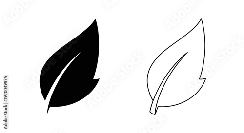 Minimalist leaf designs: black and white vector artwork for modern graphic design Vector