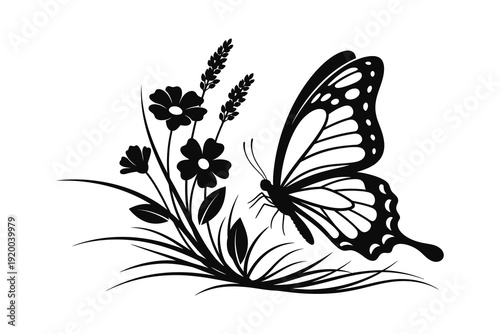 Butterfly on flowers black and white illustration