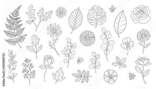 Exquisite collection of hand-drawn botanical outlines and floral sketches, ideal for nature-inspired designs, decorative elements, and delicate organic illustrations