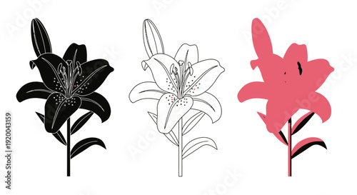 Landscape scenery set showing various stylized visual representations including a simple flat icon outline solid glyph and full color illustration