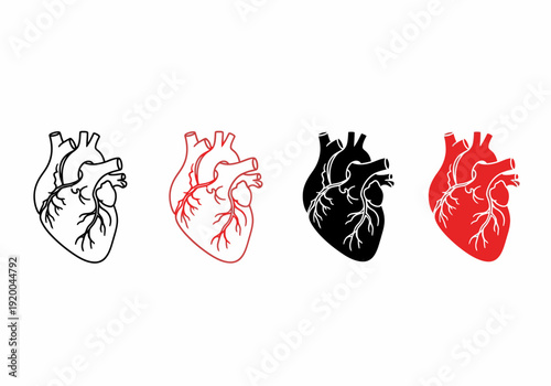 Anatomical Heart Illustrations in Various Colors.