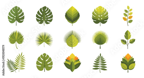 Assorted Green Tropical Leaves Collection, Flat Design Vector Illustration