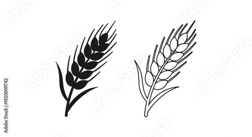 Two wheat ears illustration vector art design Vector