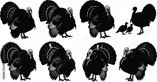 Set of black turkey silhouettes for thanksgiving and farm theme isolated on white background cad drawing flat vector illustration poultry,
