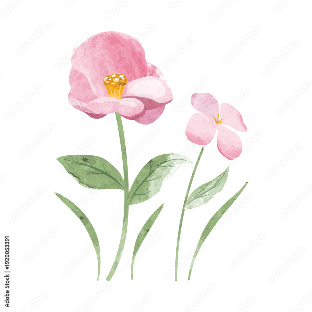 Obraz premium watercolor leaf and flower. Botanical illustration minimal style