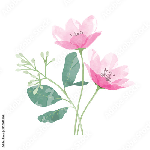 watercolor leaf and flower. Botanical illustration minimal style