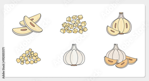 Garlic Ingredient Variety: Whole, Sliced, Diced, and Minced Garlic Illustrations