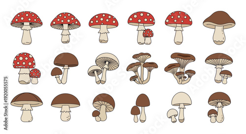 Mushroom Collection: Amanita Muscaria and Brown Fungi, Hand-Drawn Style