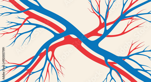 Illustration of intertwined red and blue branching vessels on a beige background.