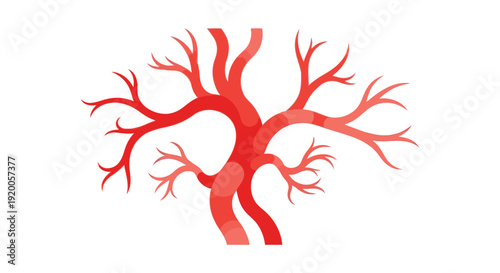 Red branching veins or arteries on white background.
